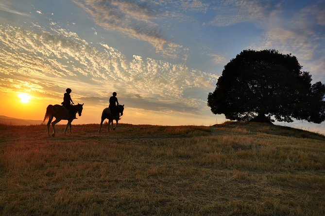 Horsebackriding - Explore Tuscan Nature - Group Size and Intimacy
