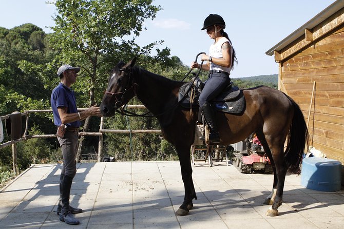 Horsemanship Experience - Safety and Equipment
