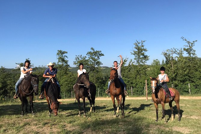 Horsemanship Experience - Meeting and Transportation