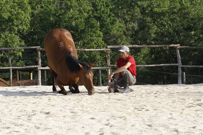 Horsemanship Experience - Riding Techniques and Skills