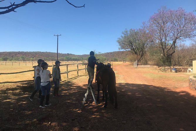 Horseriding Safari Day Tour From Johannesburg - Pickup and Timing
