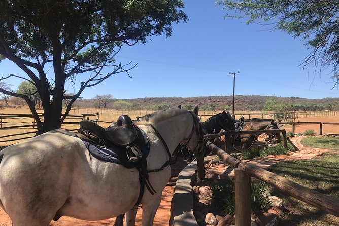 Horseriding Safari Day Tour From Johannesburg - Accessibility and Suitability