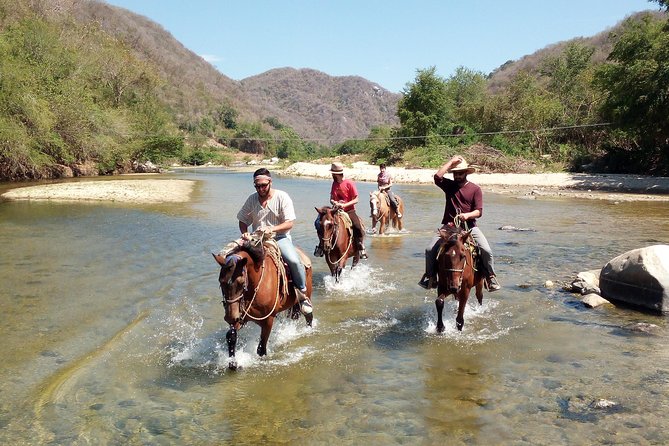 Horses and Hot Springs - Key Points