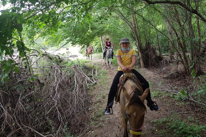 Horses and Hot Springs - What to Expect