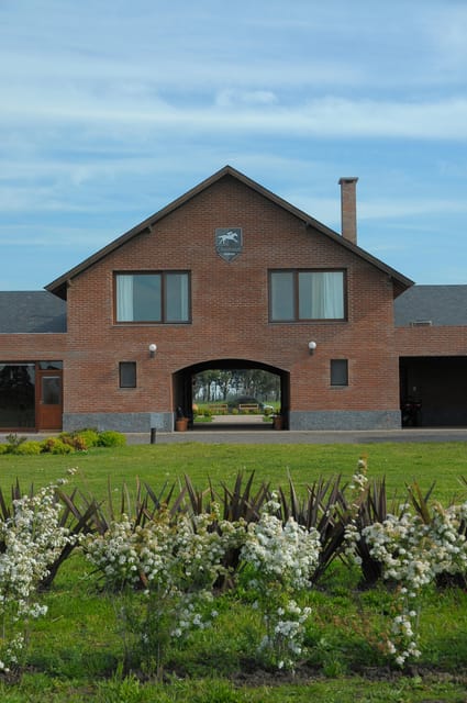 Horses, Asado & Nature. a Day at a Thoroughbred Farm - Riding a Thoroughbred Horse