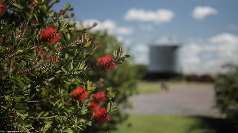 Horses, Asado & Nature. a Day at a Thoroughbred Farm - Exploring the Grassland Paddocks