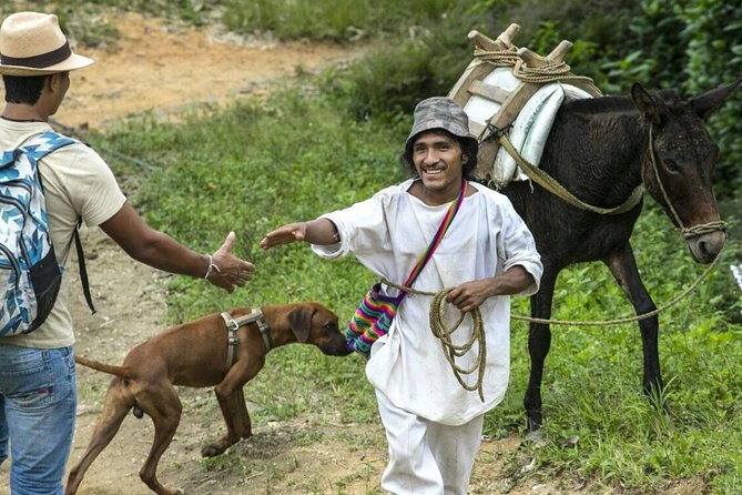 Horses to the Sacred Ancestral Stone Mama Duwanaby. - Accessibility and Health Concerns