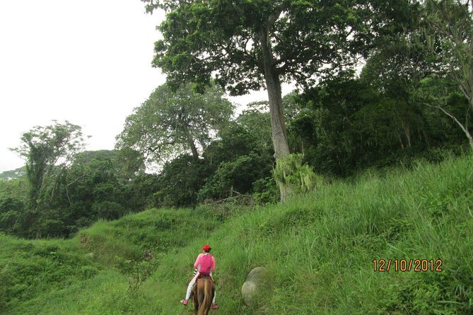 Horses to the Sacred Ancestral Stone Mama Duwanaby. - Cancellation Policy