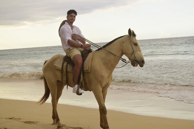 Horses, Water Cave, Coffee Test, Cigars, Punta Cana - Transportation Details