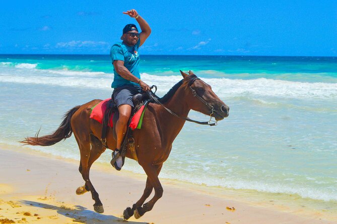Horses, Water Cave, Coffee Test, Cigars, Punta Cana - Coffee Tasting Experience