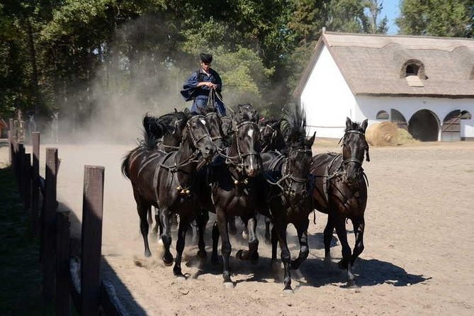 Horseshow on the Hungarian Puszta, Private Tour From Budapest With Entry! - Pickup Information