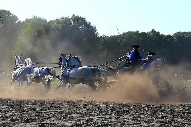 Horseshow on the Hungarian Puszta, Private Tour From Budapest With Entry! - Accessibility