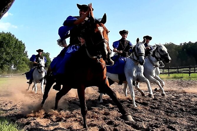 Horseshow on the Hungarian Puszta, Private Tour From Budapest With Entry! - Ratings and Reviews