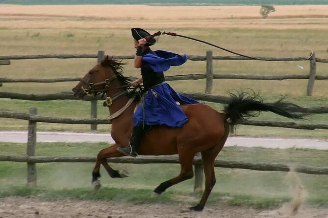 Horseshow on the Hungarian Puszta, Private Tour From Budapest With Entry! - Hungarian History and Culture