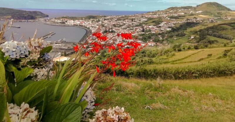 Horta, Faial Island: Half Day Tour - Scenic Views of Nearby Islands