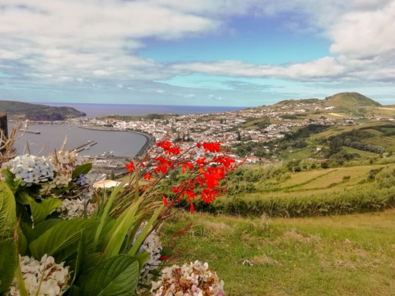 Horta, Faial Island: Half Day Tour - Pickup Location and Duration