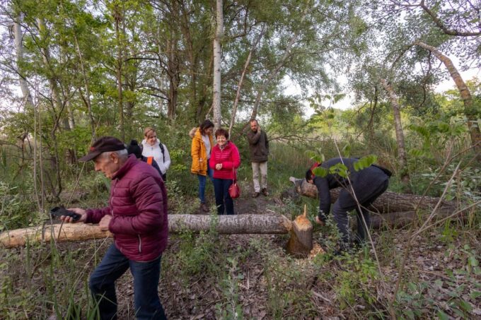 Hortobágy: Beaver Safari Near the Iconic Nine-Arched Bridge - Recap