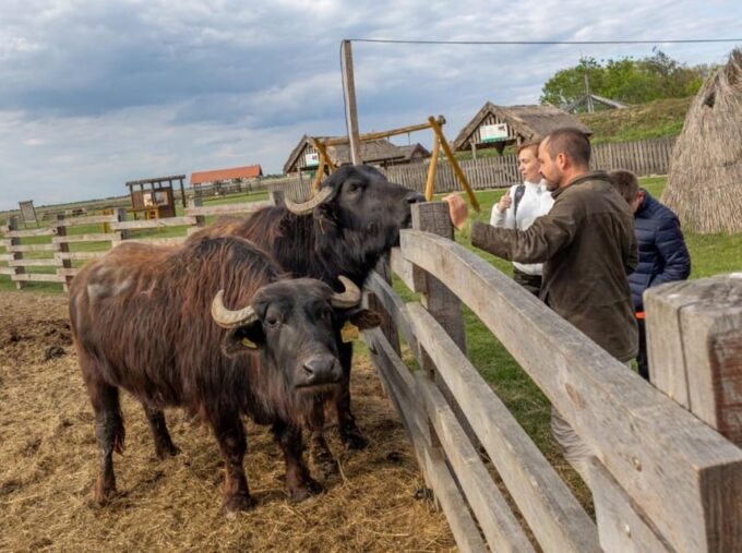 Hortobágy: Crane-watching at Dusk & Visit to the Puszta Park - Puszta Park Animals