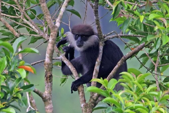 Horton Plains National Park : Private Guided Trekking Tour - Additional Information