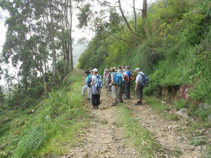 Horton Plains: Pekoe Trail Stage 11 Hiking Trip to Udaweriya - Trail Description