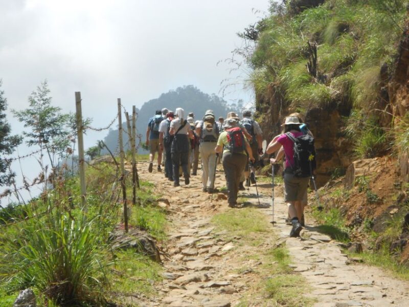 Horton Plains: Pekoe Trail Stage 11 Hiking Trip to Udaweriya - Group and Guide