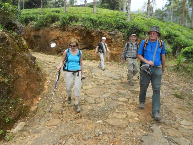 Horton Plains: Pekoe Trail Stage 11 Hiking Trip to Udaweriya - Cost and Booking