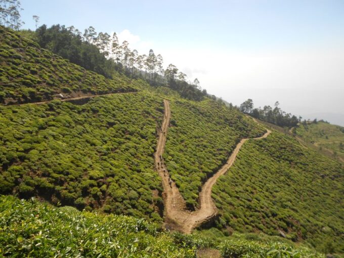 Horton Plains: Pekoe Trail Stage 11 Hiking Trip to Udaweriya - Suitability and Inclusions