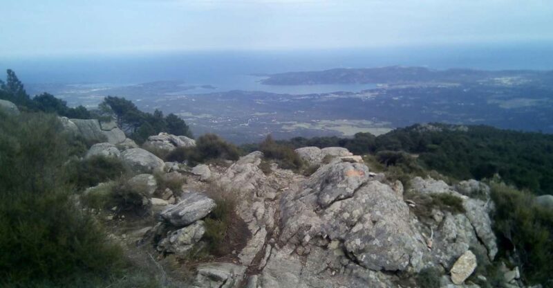 HOSPITAL Forest: Panoramic Summit With Sea and Lake Views - Schedule Options