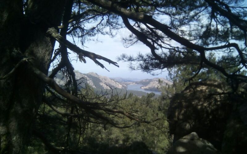 HOSPITAL Forest: Panoramic Summit With Sea and Lakes View - Meeting Point Variations