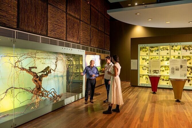 Hosted Wine Discovery Journey Tour - Exploring the National Wine Centre of Australia