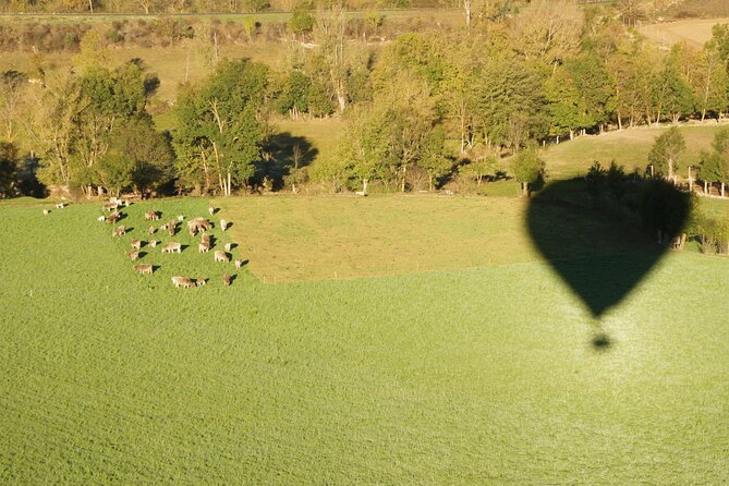 Hot Air Balloon Barcelona Flight - Contact and Additional Info
