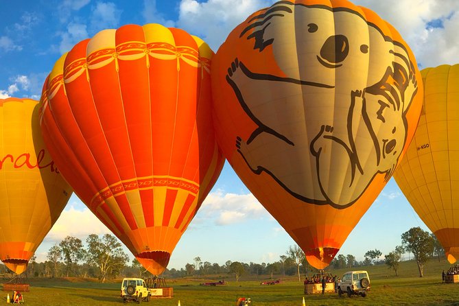 Hot Air Balloon Flight Brisbane With Vineyard Breakfast - Commemorative Flight Certificate