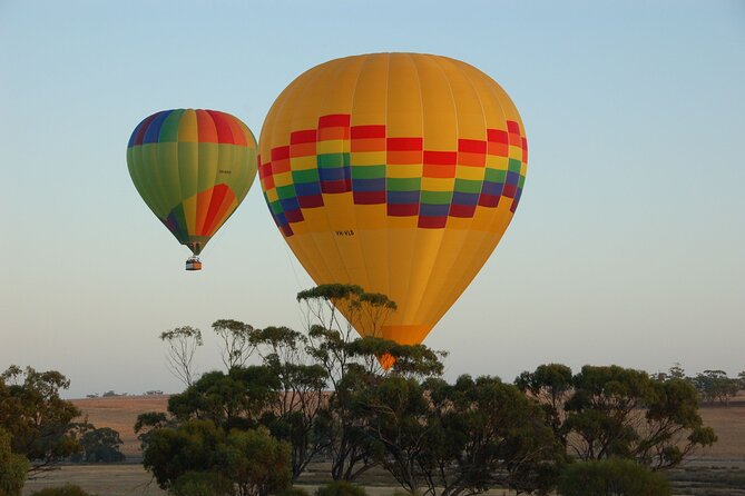 Hot Air Balloon Flight Over the Avon Valley Flight Only - Booking and Pricing