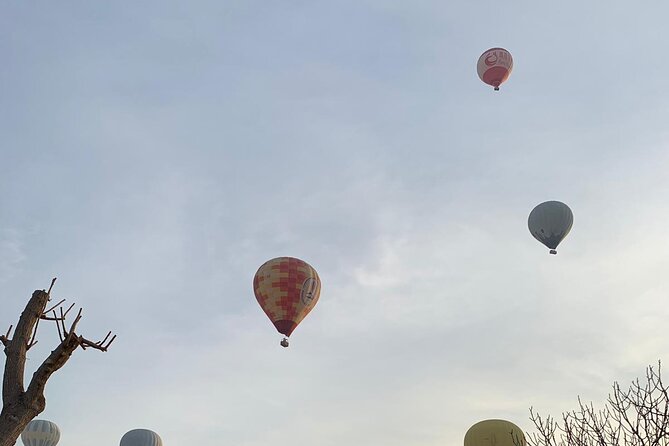 Hot Air Balloon Ride Cappadocia Goreme & Champagne Party - Reliable and Professional Pilots