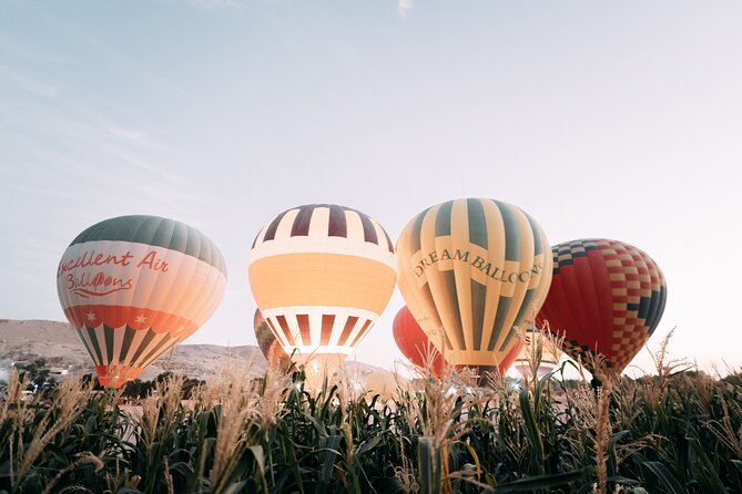 Hot Air Balloon Ride in Luxor, Egypt - VIP - Lowest Price Guarantee