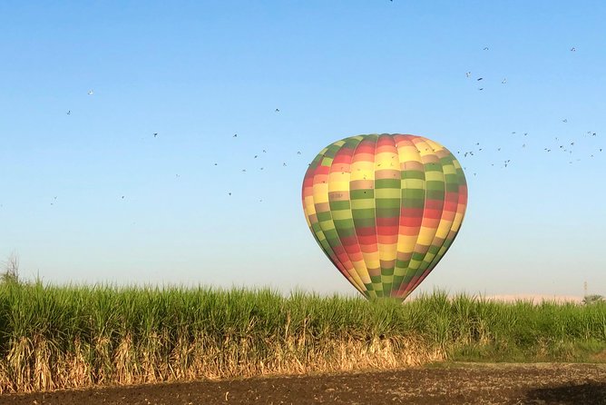Hot Air Balloon Ride in Luxor Egypt With Transfers Included - Customer Reviews and Ratings