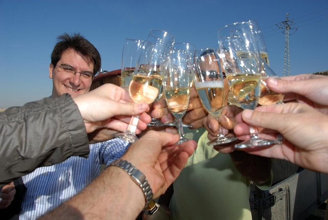 Hot-Air Balloon Ride Over Toledo With Optional Transport From Madrid - Passenger Safety and Accessibility