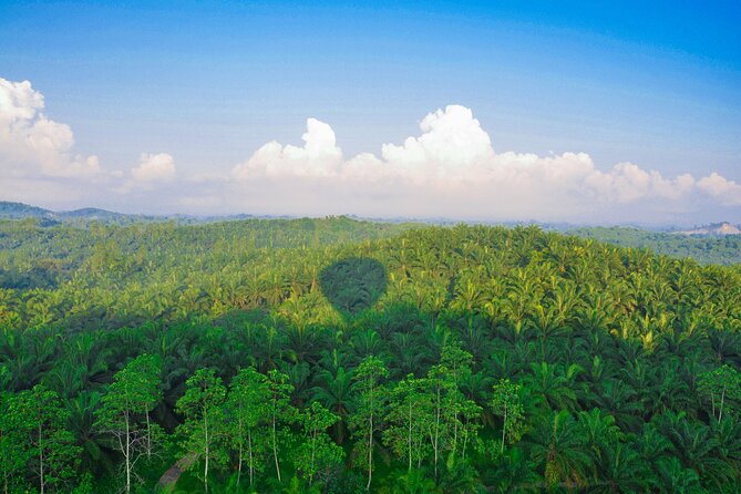 Hot Air Ballooning Tour From Kandalama - Inclusions
