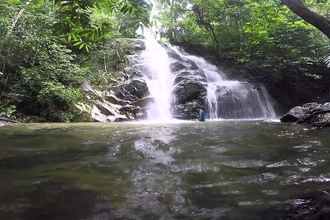 Hot Spring and Waterfall Day Tour - Tour Highlights