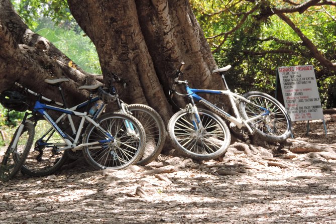 Hot Springs Bike Tour - Exploring the Hot Springs