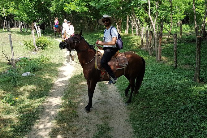 Hot Springs Horseback Riding Adventure - Safety Measures