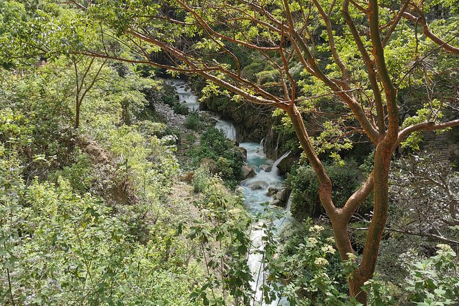 Hot Springs in Tolantongo Full-Day Tour With Breakfast - Professional Guidance
