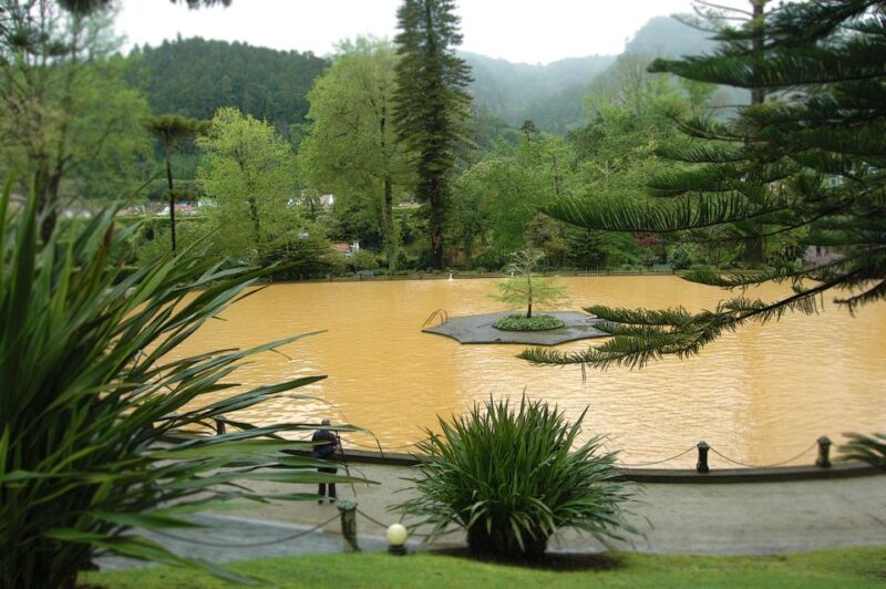 Hot Springs & Waterfalls & Tea Plantation - Customer Feedback