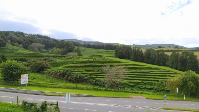 Hot Springs & Waterfalls & Tea Plantation - Reservation Option