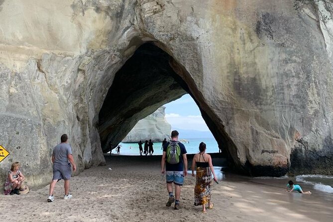 Hot Water Beach & Cathedral Cove Day Tour From Auckland - Customer Feedback