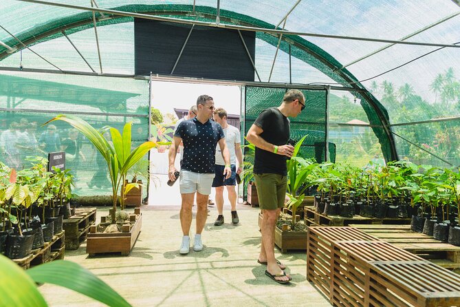 Hotel Chocolat: From Tree to Bar Tour With Tasting in St. Lucia - Guided Tour of Cacao Groves