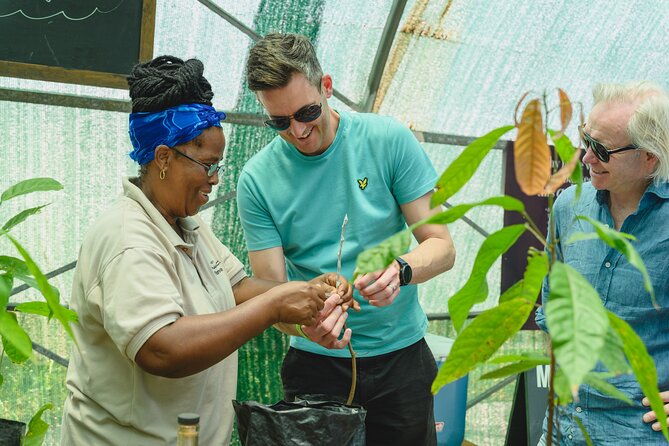 Hotel Chocolat: From Tree to Bar Tour With Tasting in St. Lucia - Lunch at Hotel Chocolat