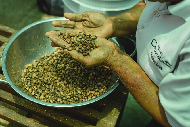 Hotel Chocolat: From Tree to Bar Tour With Tasting in St. Lucia - UNESCO World Heritage Site Setting