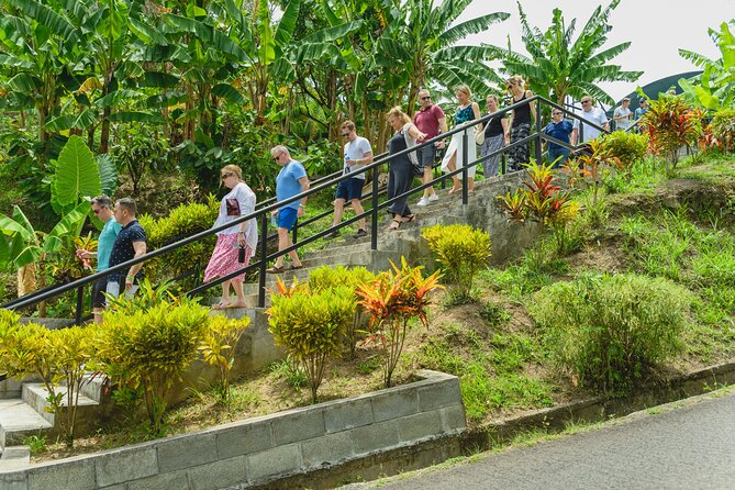 Hotel Chocolat: From Tree to Bar Tour With Tasting in St. Lucia - Accessibility and Age Restrictions