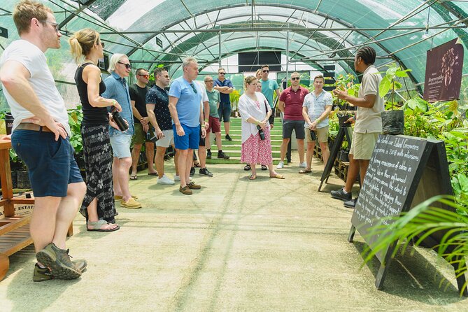 Hotel Chocolat: From Tree to Bar Tour With Tasting in St. Lucia - Customer Reviews and Feedback